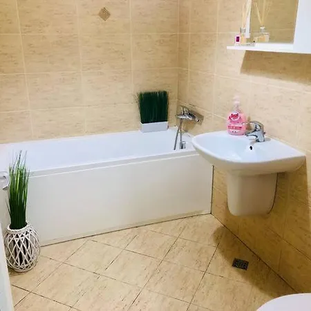 Joy Stefan Baciu 10 Apartment Brasov