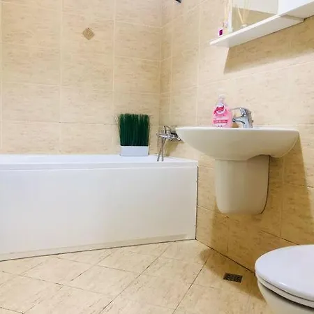 Joy Stefan Baciu 10 * Brasov