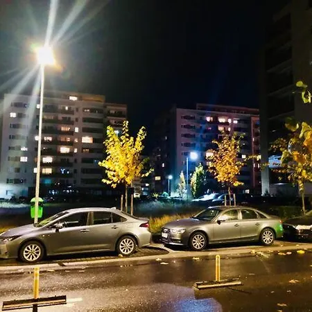 Joy Stefan Baciu 10 * Braşov