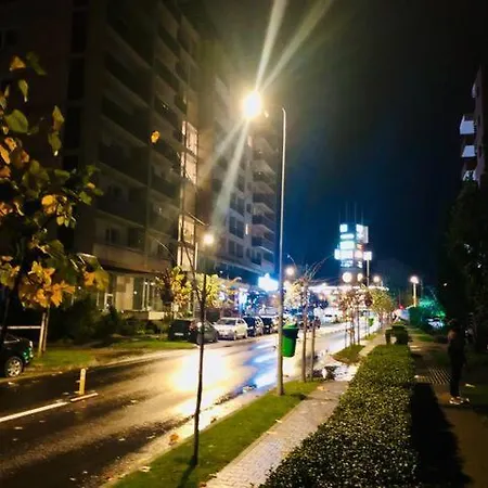Joy Stefan Baciu 10