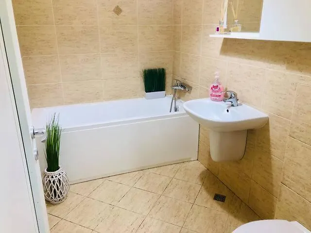 Joy Stefan Baciu 10 Apartament Brașov